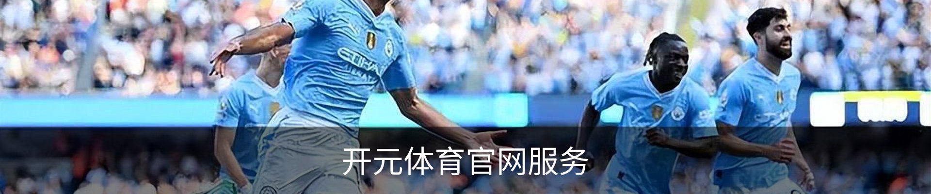 开元体育官网服务